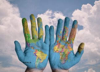 Ile kosztuje wgranie mapy silnika?