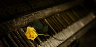 Ile jest kluczy w komplecie do drzwi Gerda? Ile jest kluczy w komplecie do drzwi Gerda?