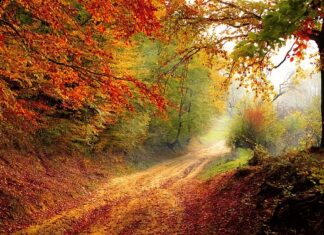 W którym roku zamknięto FSO? W którym roku zamknięto FSO?