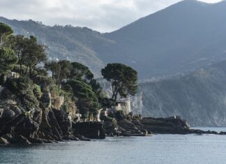 Ile kosztuje chip tuning w dieslu?