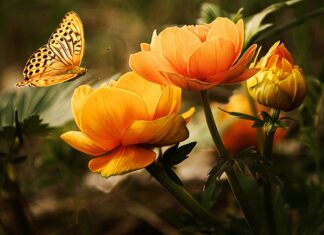 Jaki płyn do mycia motocykla?