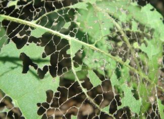 Jak sprawdzić gdzie jest nieszczelna klimatyzacja?