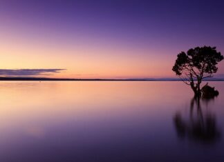 Jak usunąć zacieki z wody na aucie?