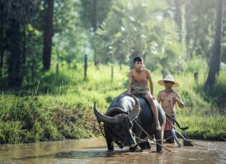 Czym Pielęgnować motocykl?
