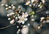 Co na trądzik u 13 latka? Co na trądzik u 13 latka?