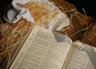 Jak wygląda pielucha anatomiczna? Jak wygląda pielucha anatomiczna?