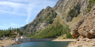 Co ile powinno się wymieniać golarkę?