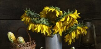 Jak pozbyć się odcisków z korzeniem?