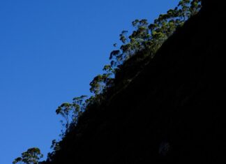 Czy bazę kauczukowa można piłować?