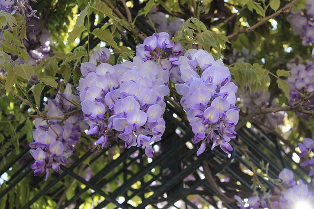 Jaki utrwalacz do makijażu z Rossmanna? Jaki utrwalacz do makijażu z Rossmanna?