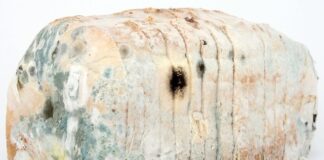 Jak dezynfekować maszynki do golenia?