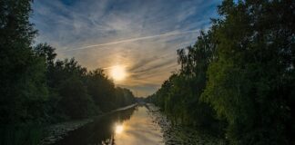 Na czym polega zastosowanie prądów Darsonvala w kosmetologii?