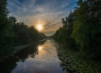 Na czym polega zastosowanie prądów Darsonvala w kosmetologii?