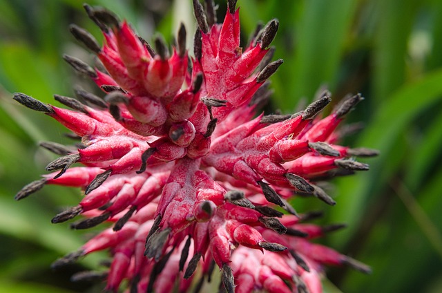 Czy wazelina jest bezpieczna? Czy wazelina jest bezpieczna?