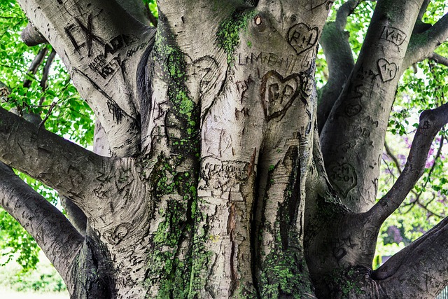 Co na utrwalenie makijażu? Co na utrwalenie makijażu?