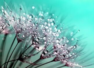 Jak zrobić krople na paznokciach? Jak zrobić krople na paznokciach?