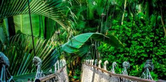 Ile kosztuje kurs na opalanie natryskowe?