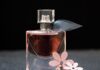 Jak prawidłowo używać perfum? Jak prawidłowo używać perfum?